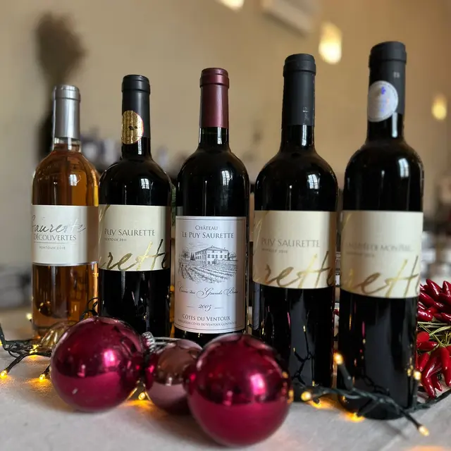 Château Puy Saurette