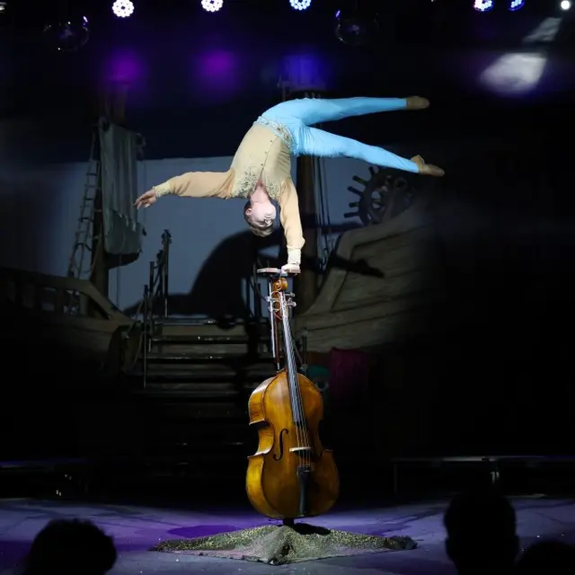 Cirque Medrano_Saint-Étienne