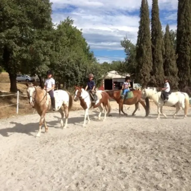 Domaine equestre de Saint Paul