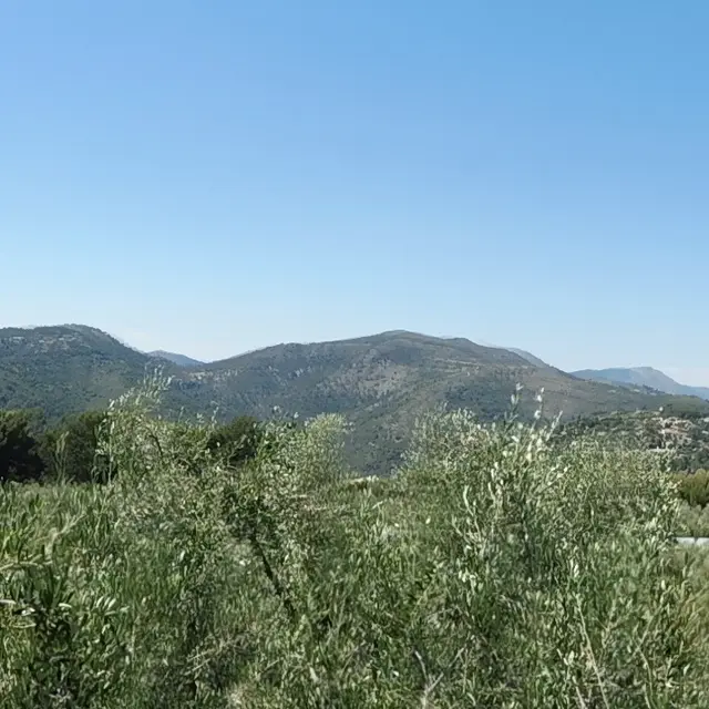 domaine Champsoleil panorama.jpg