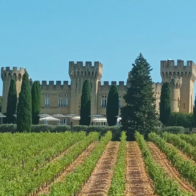 Balade accompagnée à Vélo à Châteauneuf du Pape