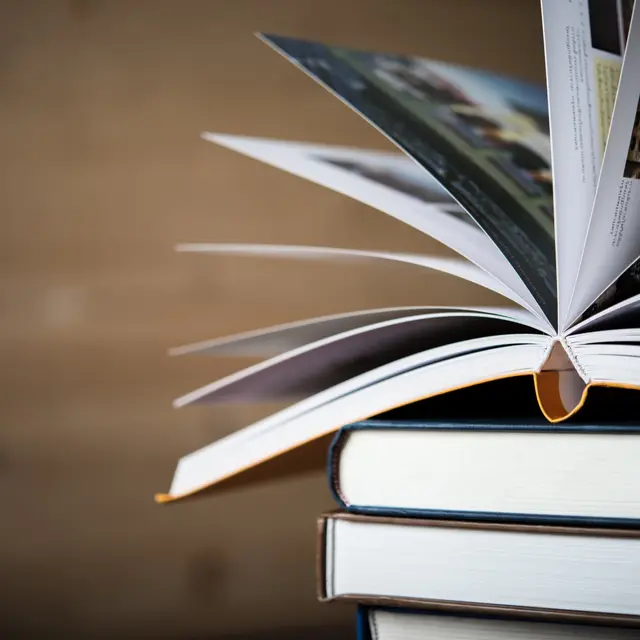 Exposition de Félix Meynet_Allinges