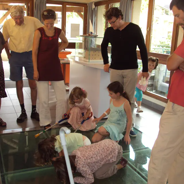 salle de muséographie