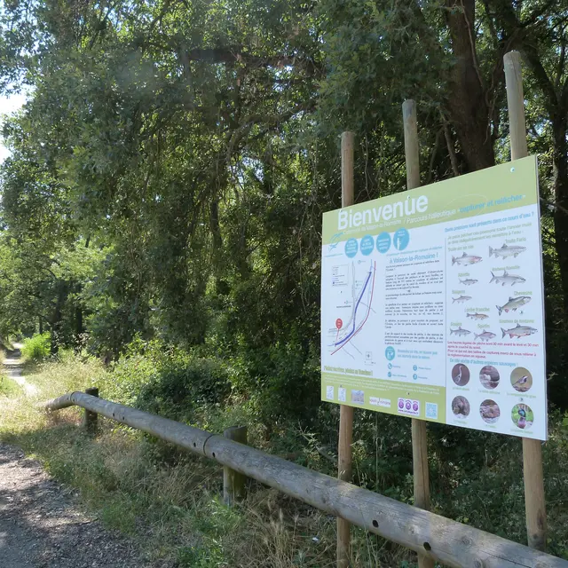 Parcours de pêche No-kill 4
