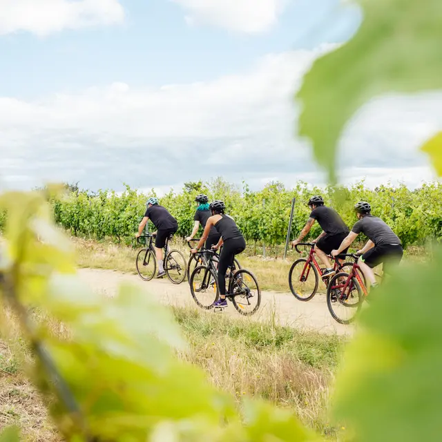 Circuit Gravel - Angers,  escapade au cœur du vignoble_Angers