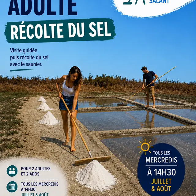 Atelier adulte Récolte du sel avec l'Ecomusée du Marais Salants_Loix