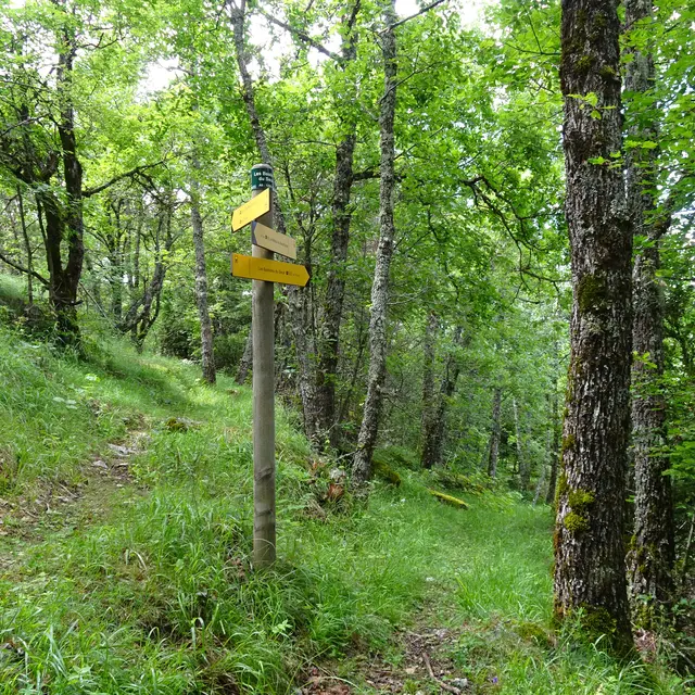 Le Seuil Saint André les Alpes