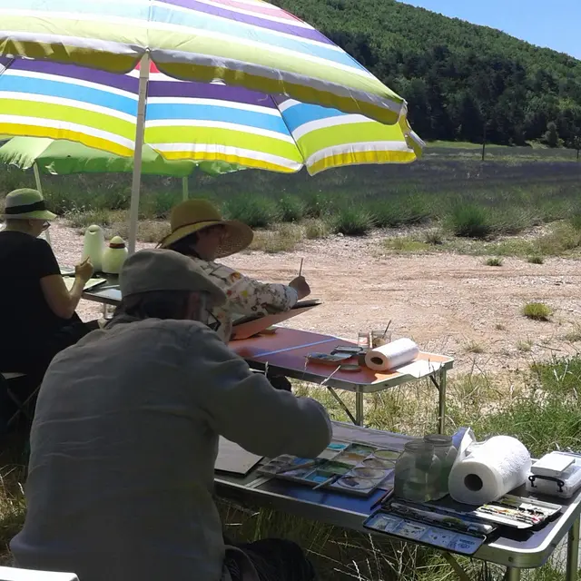 Aquarelle et lavande insitu