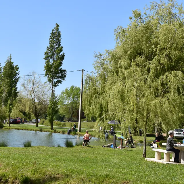 Aire de pique-nique du Lac de Parisot_Parisot