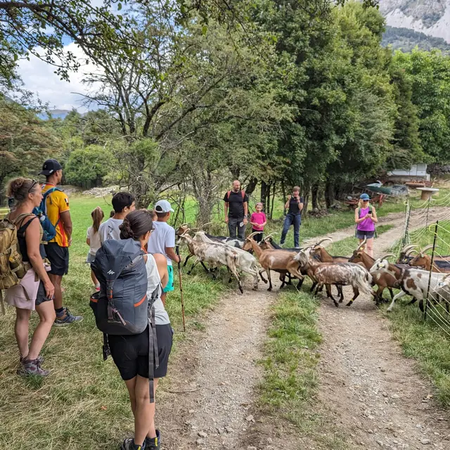 Randonnée avec Etoile Rando_Prads-Haute-Bléone