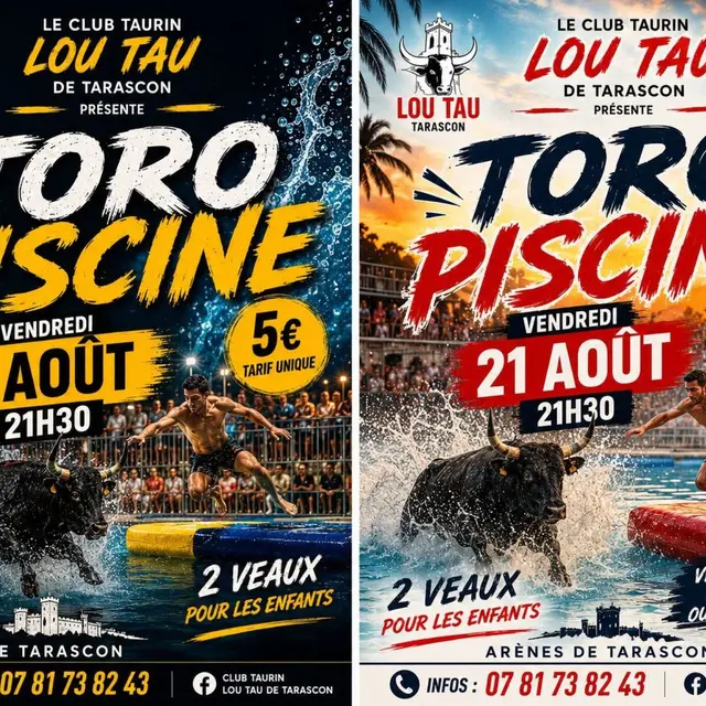 Tarascon Taureau Piscine Club Lou Tau_Tarascon