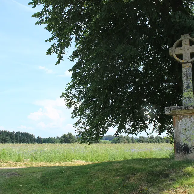 Croix celte