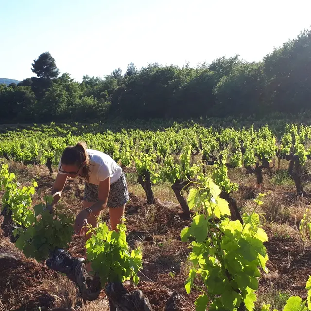 Domaine Hélène Bleuzen