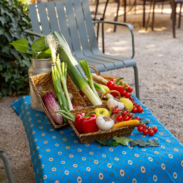 Visite gourmande avec la cheffe des Jardins d'été de la Chartreuse_Villeneuve-lez-Avignon