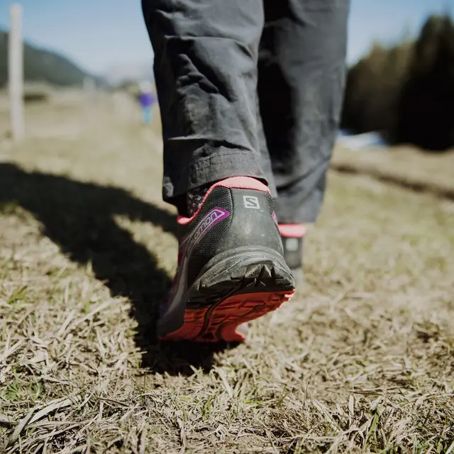 Trail découverte ou perfectionnement