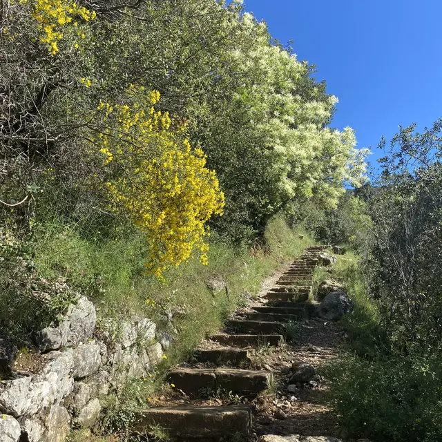 Sentier de Nietzsche_Èze