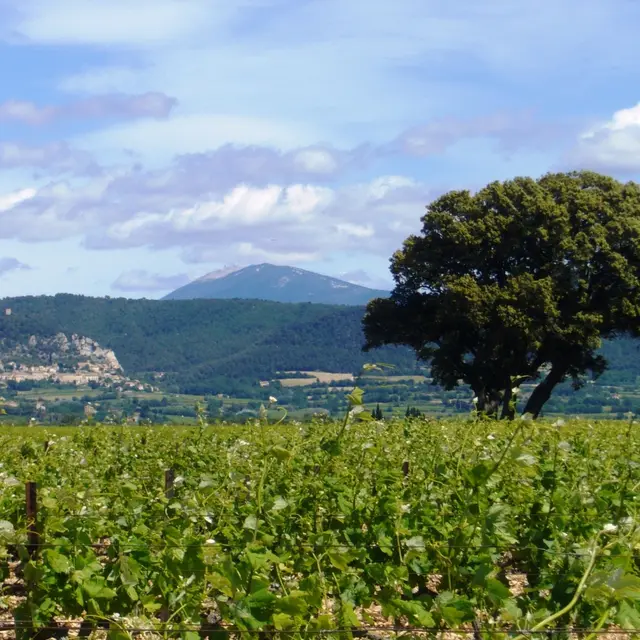 Domaine de la Girardière