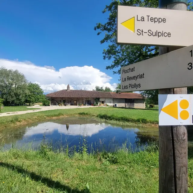 Circuit VTT-VTC n°26 (noir)_Tour de St Didier d'Aussiat