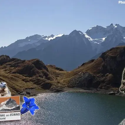 safari photos - Serre Chevalier