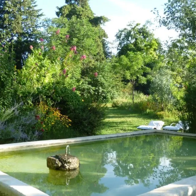 L'Espaze - le bassin