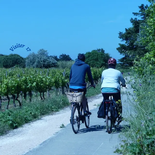 Au pays des vignerons à vélo