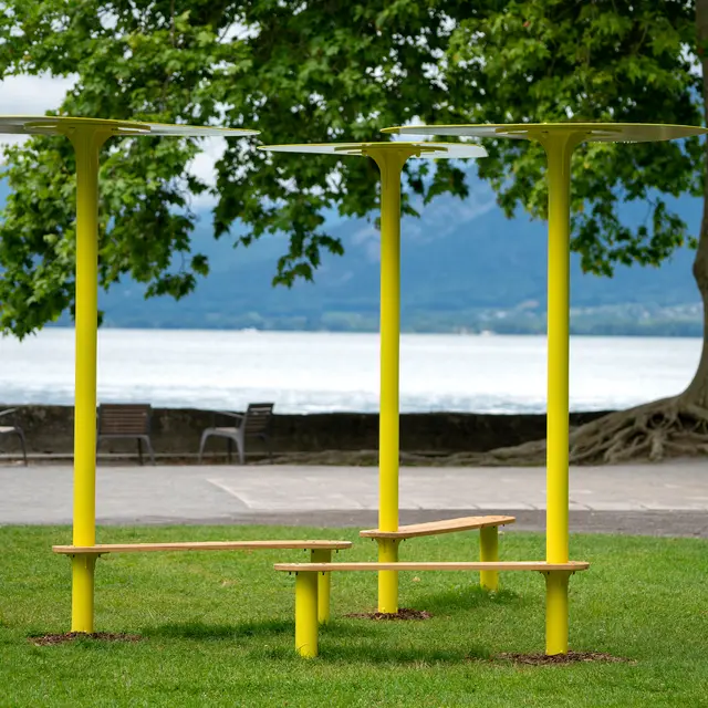 Plante un banc