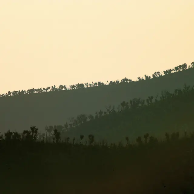 Massif des Maures