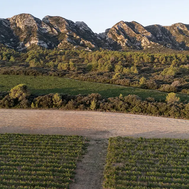 Château Romanin_Saint-Rémy-de-Provence