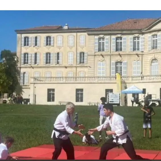 Aïki Vu Dao Club La Batarelle