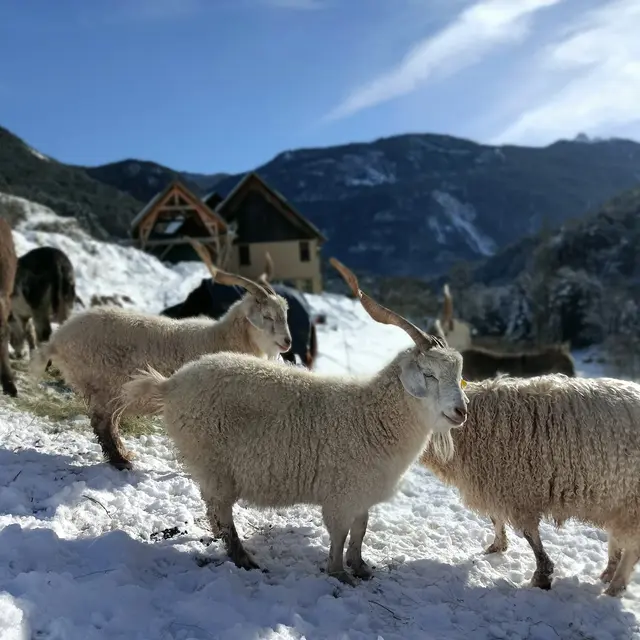 Le salon à la ferme - La Ferme des Moulins_Arvieux
