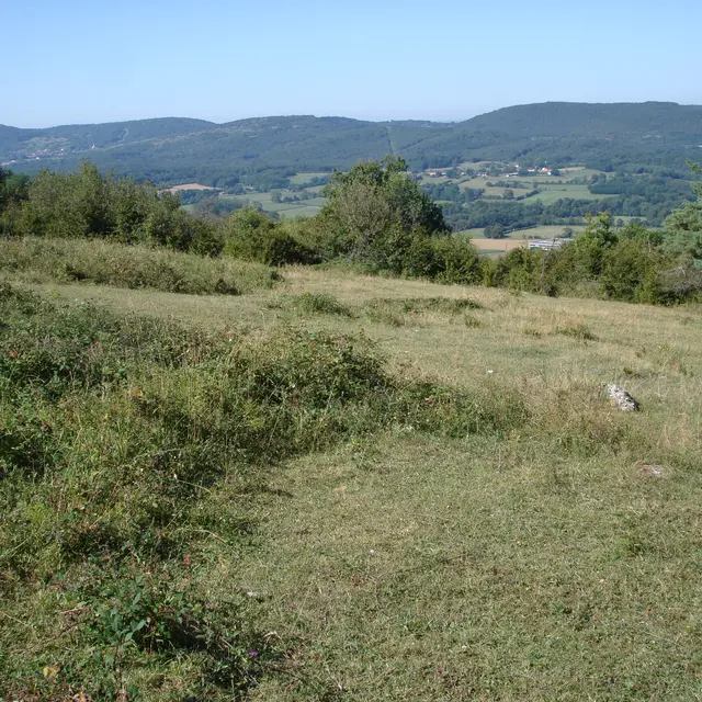 Les papillons des pelouses sèches de la RNN de la Grotte de Hautecourt