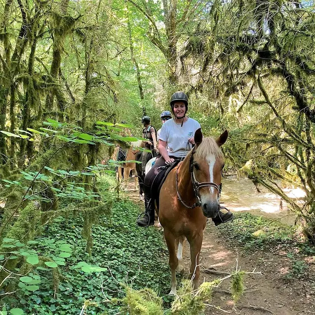 Randonnée équestre