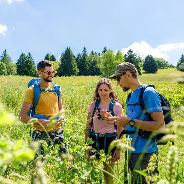 Randonnée flore de montagne et tourbière des Creusates_Saint-François-de-Sales