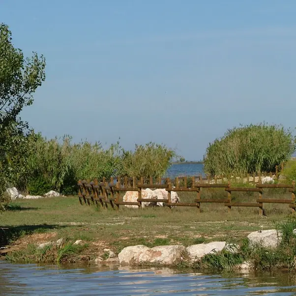 Sentier de l'étang de Bolmon