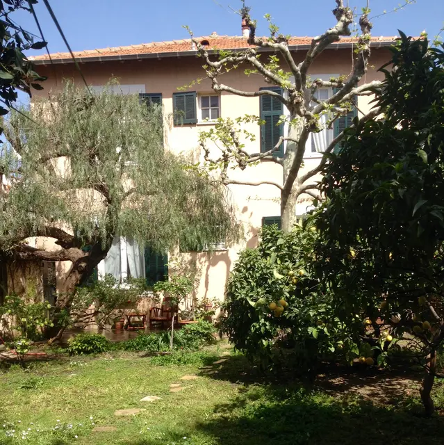 jardin