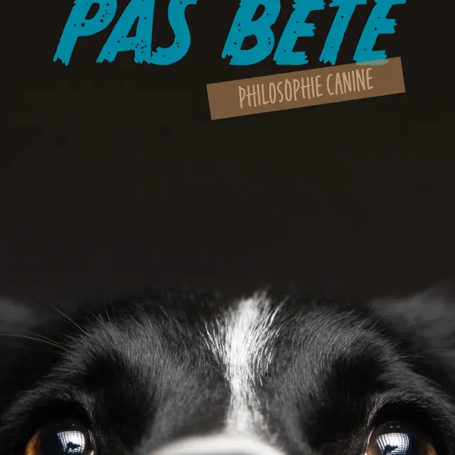 Compagnie des plumés 