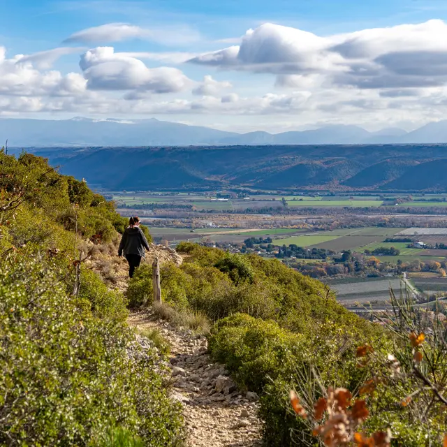 Itinéraire pédestre Tour de la Garde_Volx