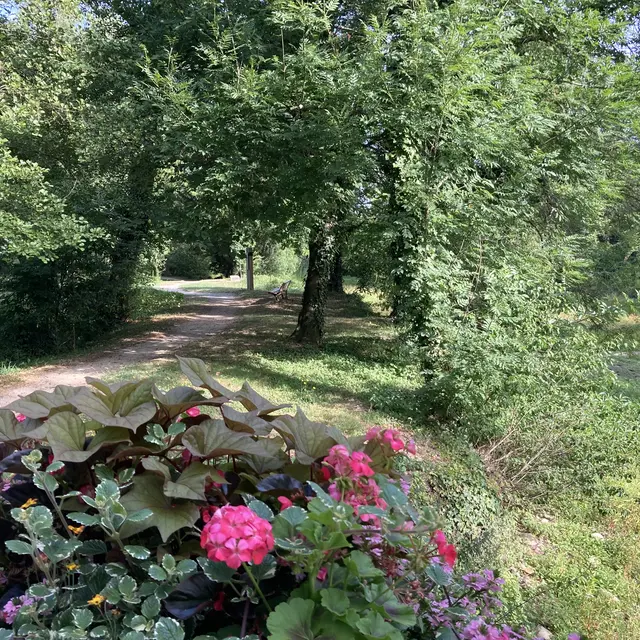 chemin Parc des sources à Manthes