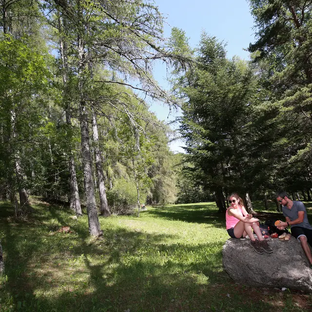 Notre-Dame de Bois vert