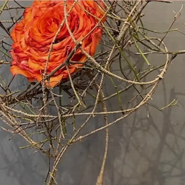 Balade artistique aux Mages et alentours - Pascal Silvestri_Rousson