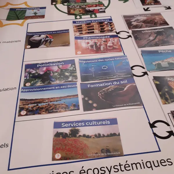 Atelier Fresque de la biodiversité