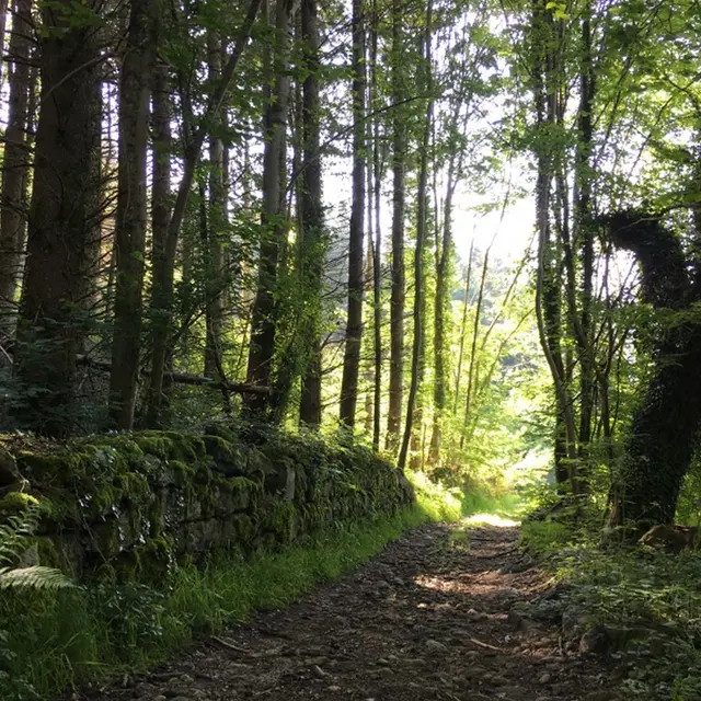 Espace Trail 1