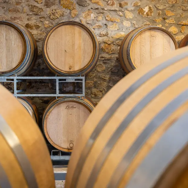 Visite dégustation au Château Vert à La Londe les Maures