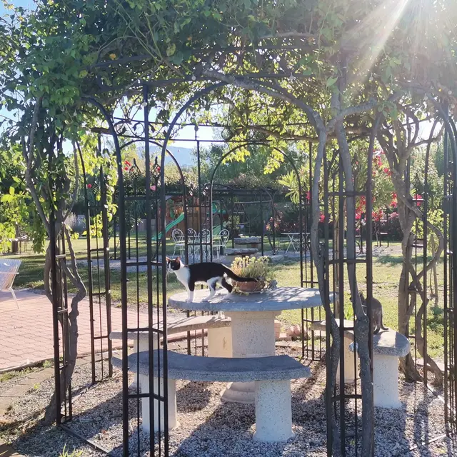 Rose - Gîte en Provence_Modène