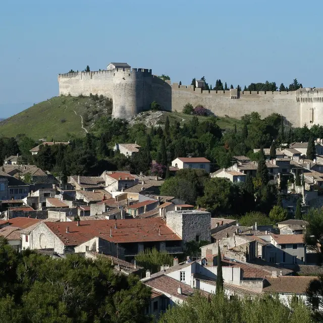 Visite Les châteaux de la Belle Époque_Villeneuve-lez-Avignon