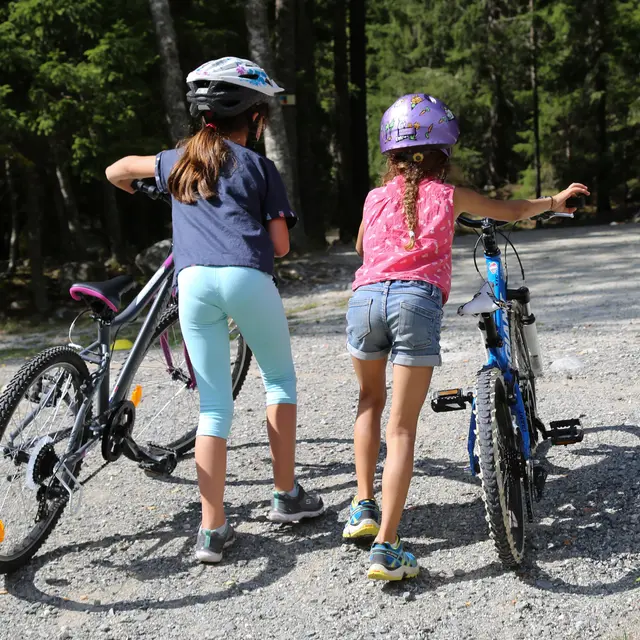 VTT