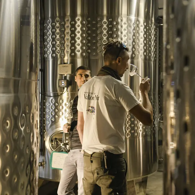 Domaine du Vallon Noir_Pourrières