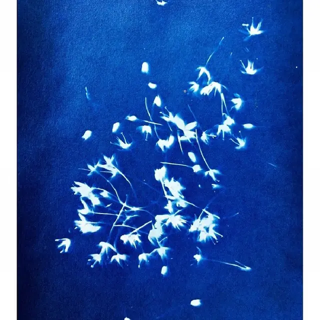 Cyanotype
