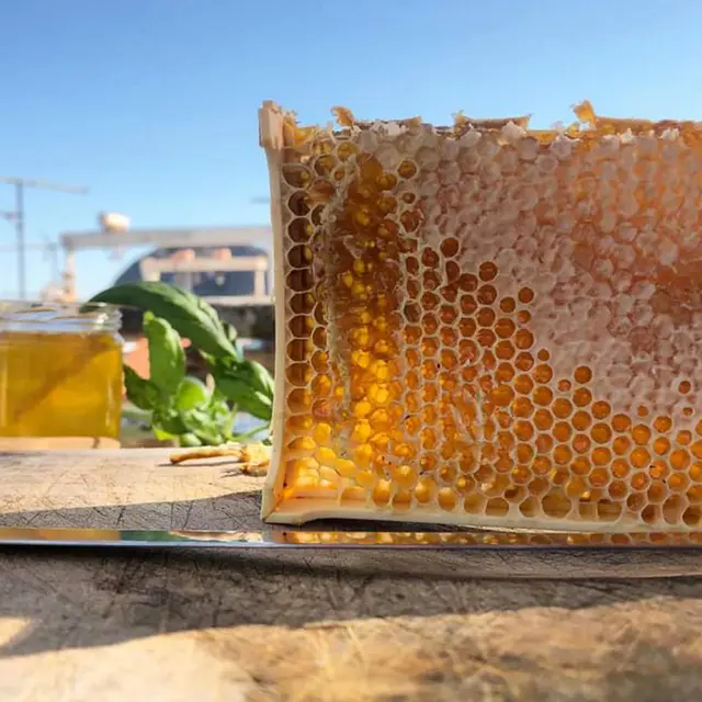 Visite commentée - La Ciotat Gourmande_La Ciotat