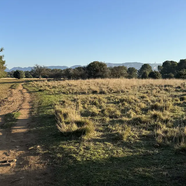 Plateau de la crau_Saint-Rémy-de-Provence